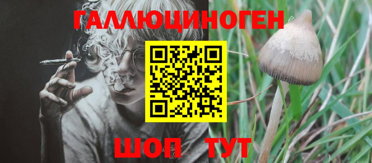 Электросталь  Галлюциногенные грибы Magic Shrooms  Вход с VPN 